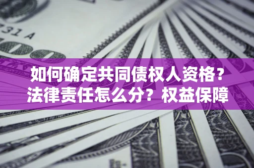 北京如何确定共同债权人资格？法律责任怎么分？权益保障技巧揭秘！