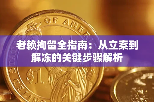 北京老赖拘留全指南：从立案到解冻的关键步骤解析