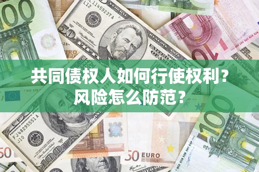 北京共同债权人如何行使权利？风险怎么防范？