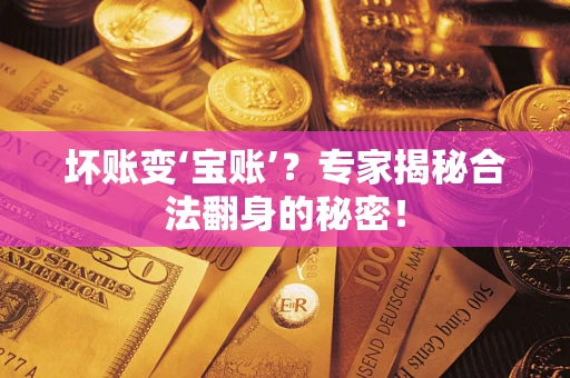 北京坏账变‘宝账’？专家揭秘合法翻身的秘密！