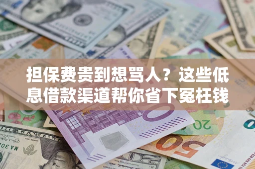 北京担保费贵到想骂人？这些低息借款渠道帮你省下冤枉钱