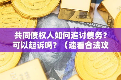 北京共同债权人如何追讨债务？可以起诉吗？（速看合法攻略）